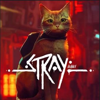 Stray Аккаунты